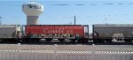 CN 110114